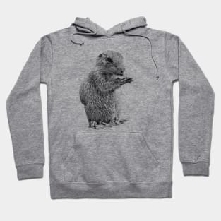 Prairie dog Hoodie